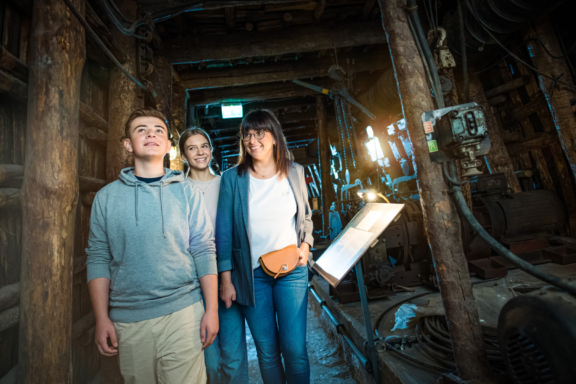 Die Bergbau-Schauanlage thematisiert die 1989 eingestellte Gewinnung von energetisch nutzbarer Steinkohle für Kraftwerke sowie die von uranvererzter Steinkohle für Rüstungszwecke im „Döhlener Becken“.