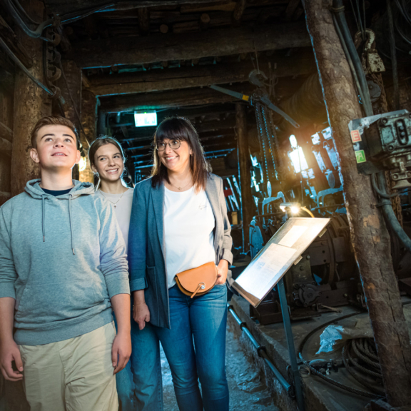 Die Bergbau-Schauanlage thematisiert die 1989 eingestellte Gewinnung von energetisch nutzbarer Steinkohle für Kraftwerke sowie die von uranvererzter Steinkohle für Rüstungszwecke im „Döhlener Becken“.